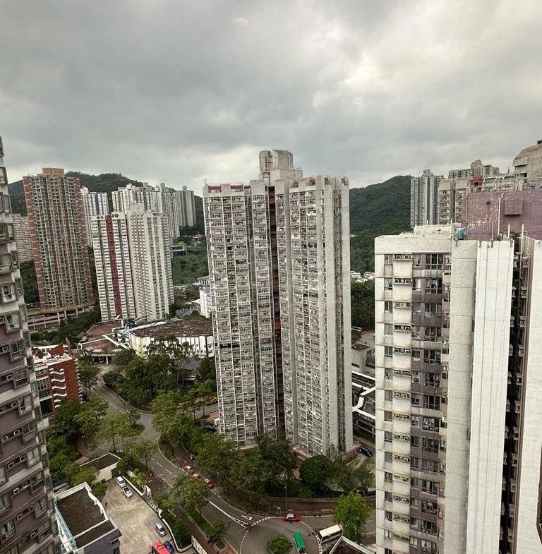 偉景花園 2座 - 28NTS – 香港北部都會區