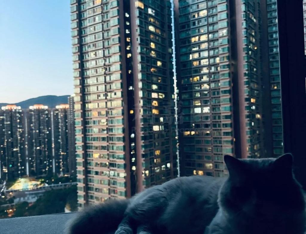 盈翠半島 2期 9座 - 28NTS – 香港北部都會區