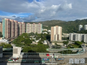 兆康苑 兆新閣 (B座) - 28NTS – 香港北部都會區