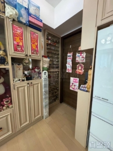 尚悅 9座 - 28NTS – 香港北部都會區