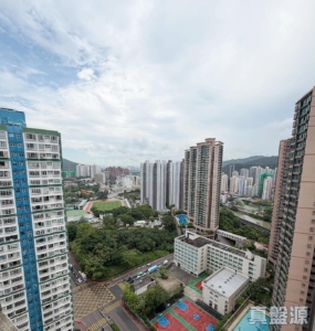 大興花園 1期 2座 - 28NTS – 香港北部都會區