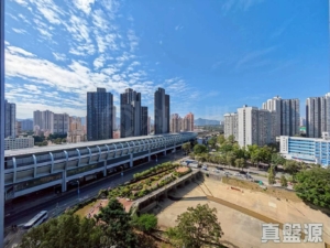 朗屏8號 3座 - 28NTS – 香港北部都會區
