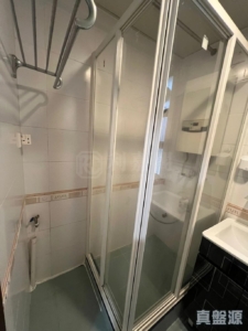 綠楊新邨 B座 - 28NTS – 香港北部都會區