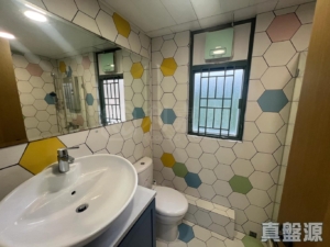 浪翠園 3期 8座 - 28NTS – 香港北部都會區
