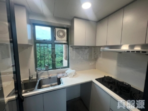 浪翠園 3期 8座 - 28NTS – 香港北部都會區