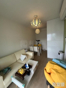 藍天海岸 3期 影岸‧紅 B座 (8座) - 28NTS – 香港北部都會區