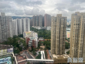 綠悠雅苑 1座 - 28NTS – 香港北部都會區