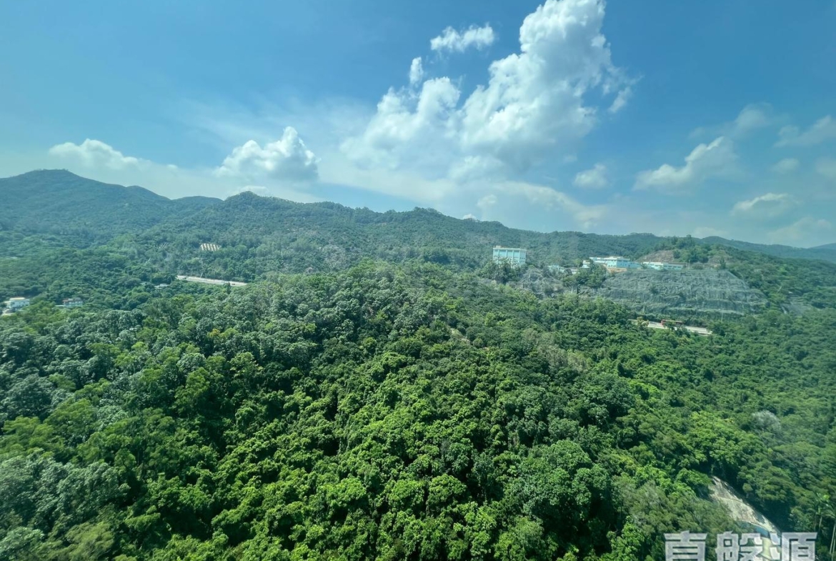 浪翠園 4期 12座 - 28NTS – 香港北部都會區