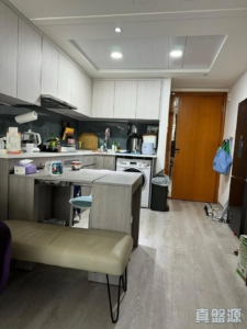 17891405823f3d43ad-fee8-4dd4-81c2-72fddf6ecccb.jpeg 爵悅庭 北爵軒 (B2) - 28NTS – 香港北部都會區