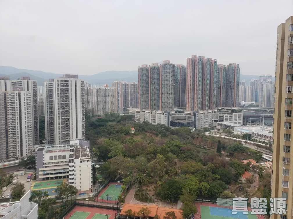 青怡花園 2座 - 28NTS – 香港北部都會區