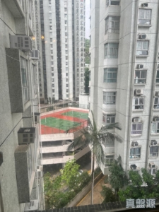 麗城花園 2期 2座 - 28NTS – 香港北部都會區