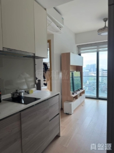 明翹匯 2座 - 28NTS – 香港北部都會區