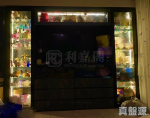 柏傲灣 2B座 - 28NTS – 香港北部都會區
