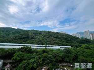 麗城花園 1期 2座 - 28NTS – 香港北部都會區
