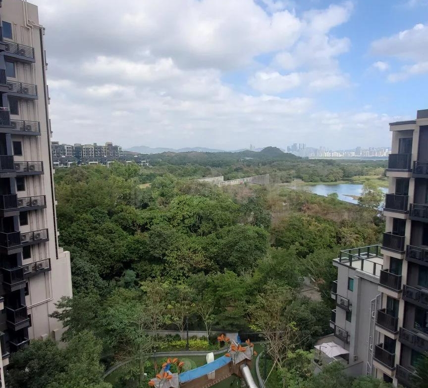 WETLAND SEASONS PARK 3期 8座 - 28NTS – 香港北部都會區