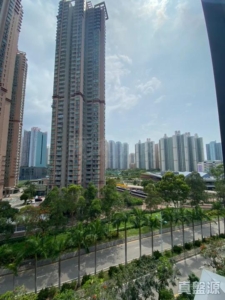 WETLAND SEASONS PARK 2期 5座 - 28NTS – 香港北部都會區