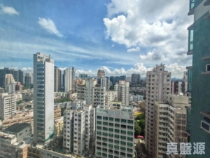 豐裕軒 - 28NTS – 香港北部都會區