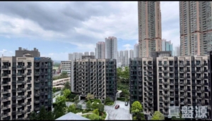 WETLAND SEASONS PARK 3期 1座 - 28NTS – 香港北部都會區