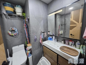 藍澄灣 1座 - 28NTS – 香港北部都會區