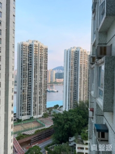 麗城花園 2期 8座 - 28NTS – 香港北部都會區