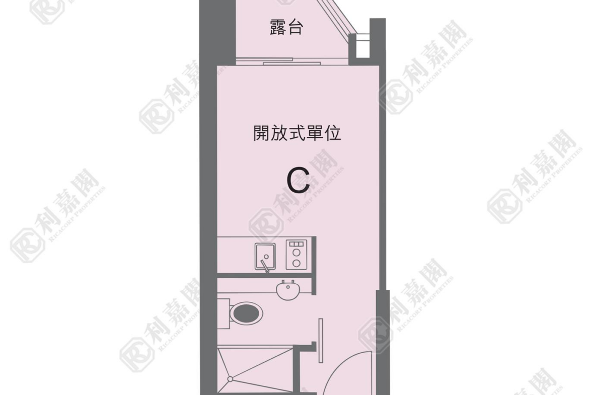 1789229265119595_2000_ricacorp.png