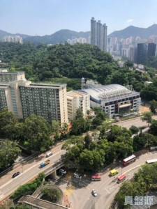 綠楊新邨 E座 - 28NTS – 香港北部都會區