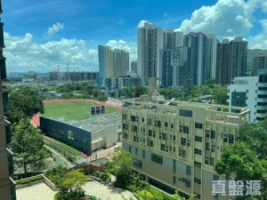 疊茵庭 9座 - 28NTS – 香港北部都會區