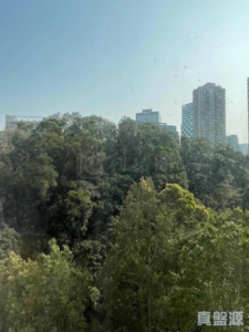荃景花園 1期 3座 - 28NTS – 香港北部都會區