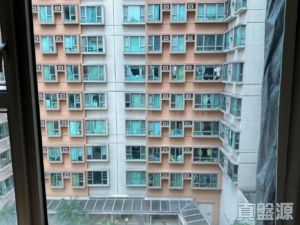 采葉庭 1座 - 28NTS – 香港北部都會區