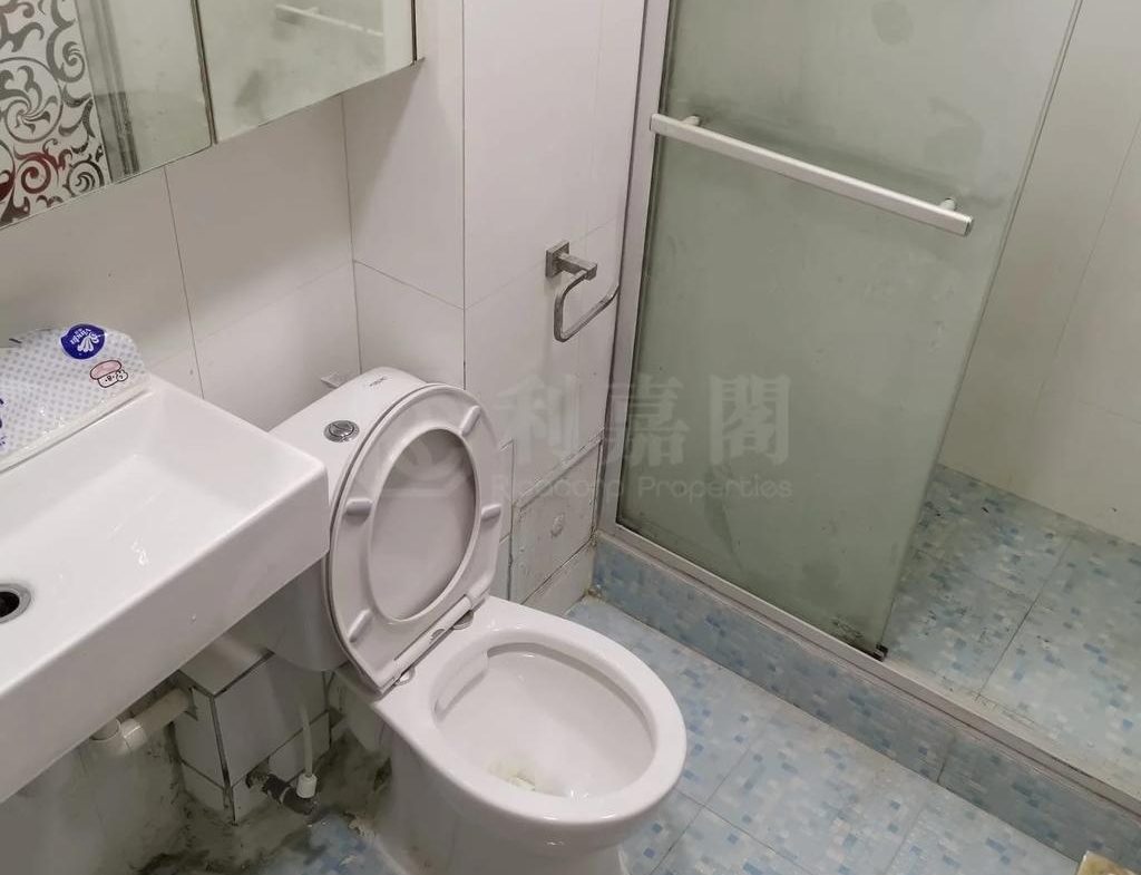 兆康苑 兆暉閣 (O座) - 28NTS – 香港北部都會區