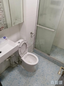 兆康苑 兆暉閣 (O座) - 28NTS – 香港北部都會區