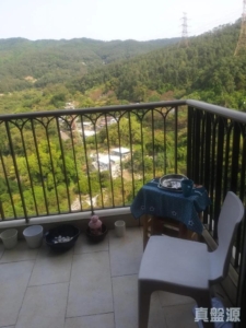 朗逸峰 1期 5座 - 28NTS – 香港北部都會區