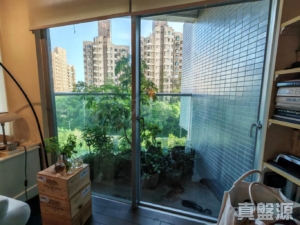 南岸 - 28NTS – 香港北部都會區