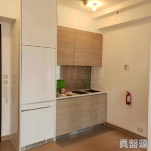 尚悅 9座 - 28NTS – 香港北部都會區