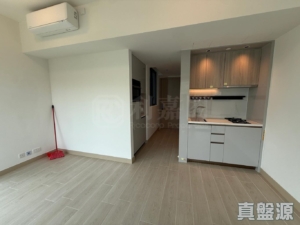 黃金海灣 2期 珀岸 2座 - 28NTS – 香港北部都會區