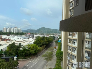 屏欣苑 A座 (屏愛閣) - 28NTS – 香港北部都會區