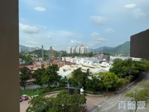 屏欣苑 A座 (屏愛閣) - 28NTS – 香港北部都會區