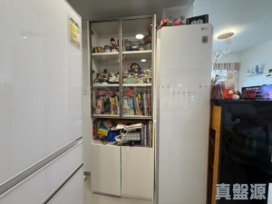 綠悠雅苑 1座 - 28NTS – 香港北部都會區