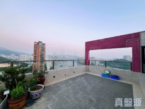金麗苑 B座 - 28NTS – 香港北部都會區