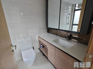 滿名山 滿庭 12座 - 28NTS – 香港北部都會區