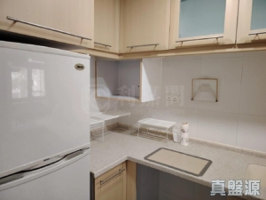 大興花園 2期 1座 - 28NTS – 香港北部都會區