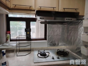 大興花園 2期 1座 - 28NTS – 香港北部都會區