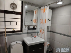 大興花園 2期 1座 - 28NTS – 香港北部都會區