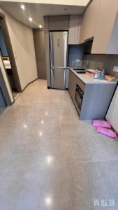 NOVO LAND 3B期 Fiskars 2A座 - 28NTS – 香港北部都會區