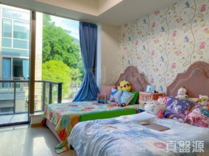 丹桂村路65-89號 富豪．悅庭 洋房 - 28NTS – 香港北部都會區