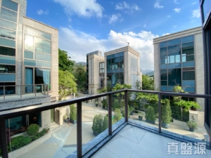 丹桂村路65-89號 富豪．悅庭 洋房 - 28NTS – 香港北部都會區