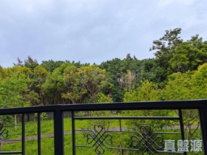 WETLAND SEASONS PARK 1期 別墅8 - 28NTS – 香港北部都會區