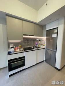 NOVO LAND 1B期 Bergen 2座 - 28NTS – 香港北部都會區