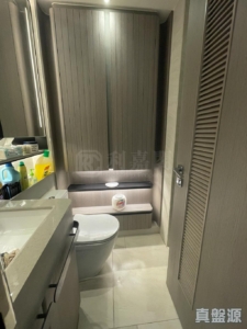 NOVO LAND 1B期 Bergen 2座 - 28NTS – 香港北部都會區