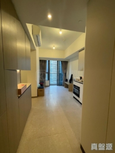 NOVO LAND 1B期 Bergen 2座 - 28NTS – 香港北部都會區
